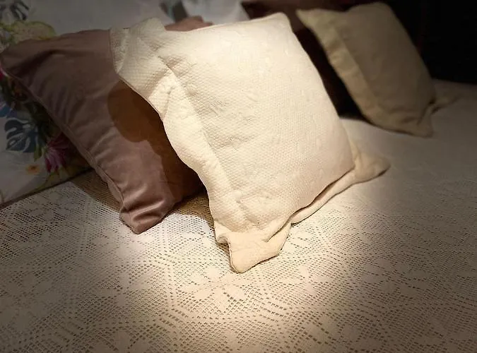 Emily's House 카스트로다이레