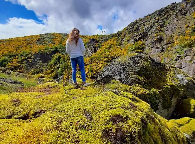 Emily's House Casa de Férias