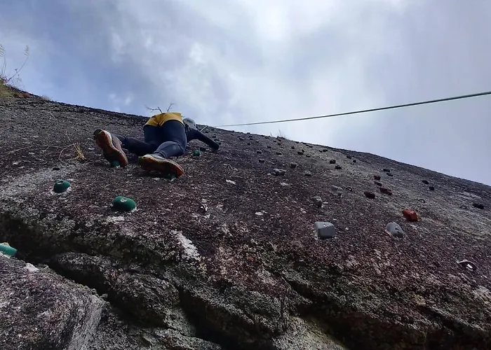 Emily's House * 카스트로다이레